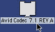 codecAvid