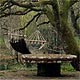 Meal Tree