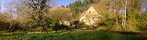 Meal Panorama