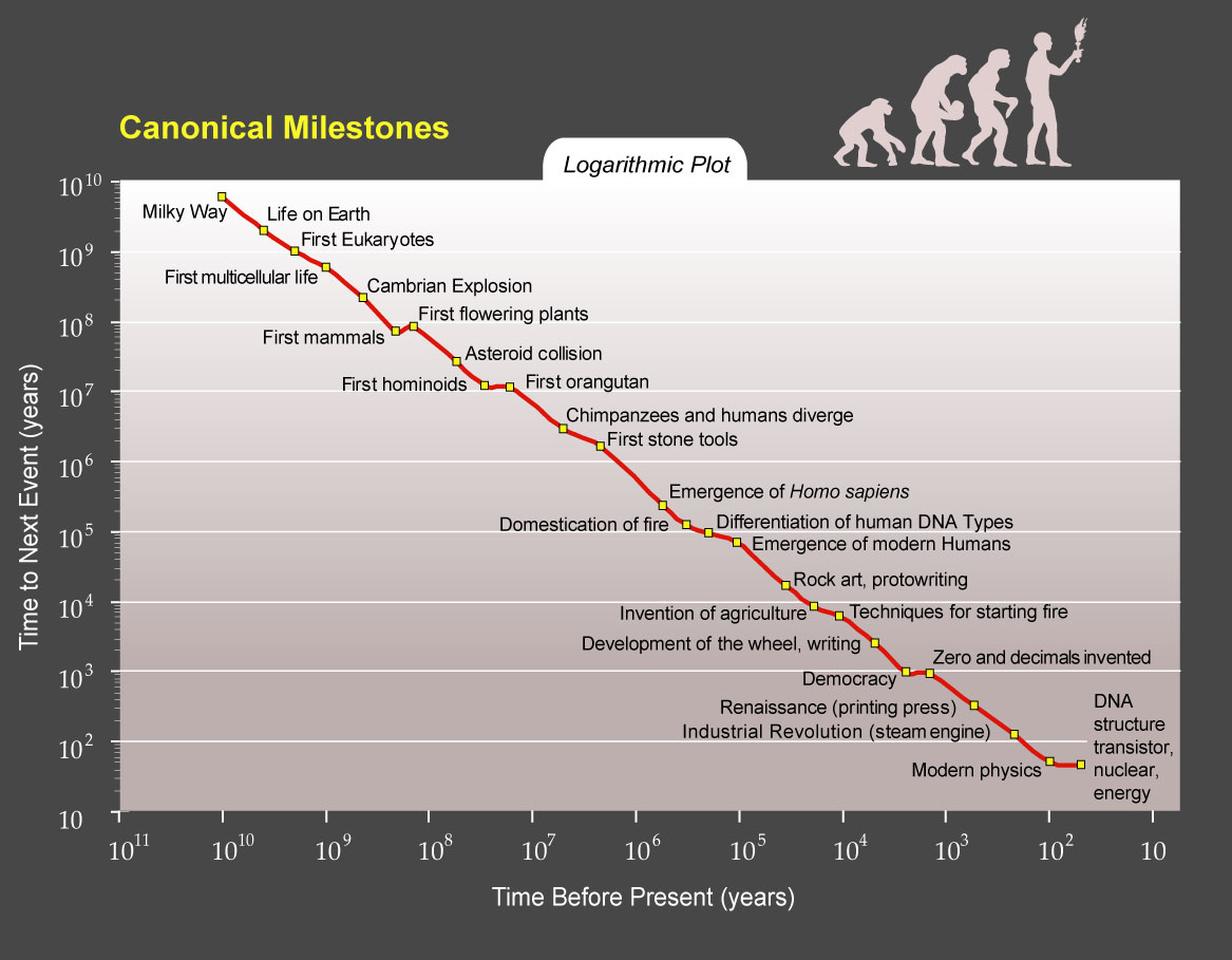 PPT Singularite Canonical