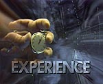 Experience